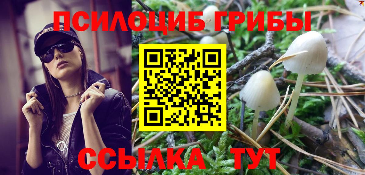 Псилоцибиновые грибы MAGIC MUSHROOMS Касимов