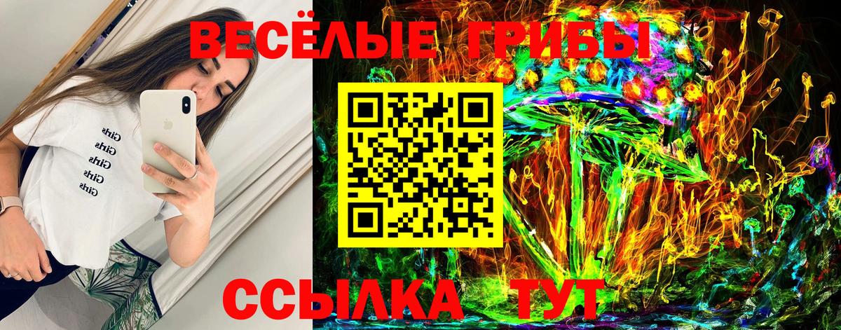 Касимов  Псилоцибиновые грибы ЛСД  Галлюциногенные грибы Magic Shrooms  Вход с VPN 